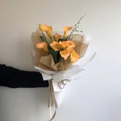 三亚房地产信息截图