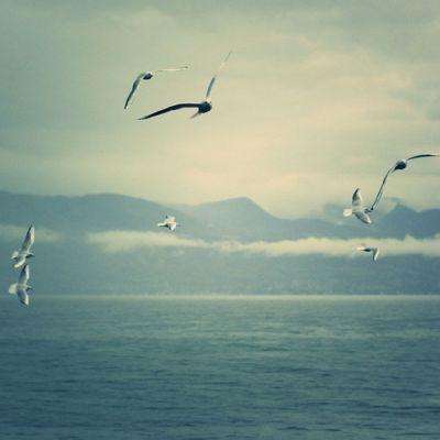 三亚房地产信息截图